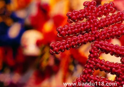 門(mén)對(duì)門(mén)掛中國(guó)結(jié)可以掛門(mén)上嗎 2