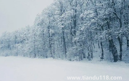 今年元旦北京會(huì)下雪嗎2023（元旦去北京穿什么合適）