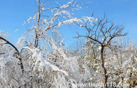 今年元旦北京會(huì)下雪嗎20233