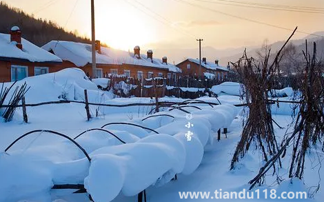 2022小雪過(guò)后就開始數(shù)九了嗎1