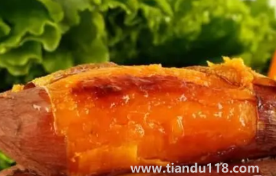 煙薯是轉(zhuǎn)基因紅薯嗎2