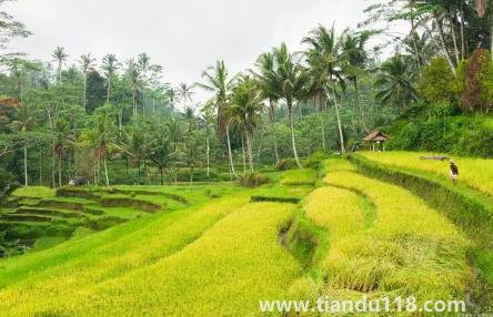 2023年閏二月算農(nóng)歷三月嗎（閏二月有什么民間說(shuō)法）