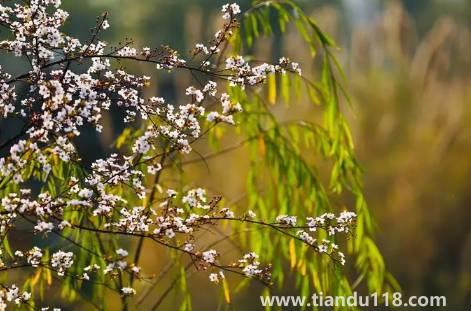 2022年閏二月冷不冷3