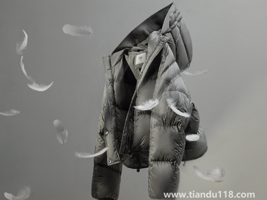 鵝絨一般比鴨絨貴多少（冬天有必要買鵝絨服嗎）