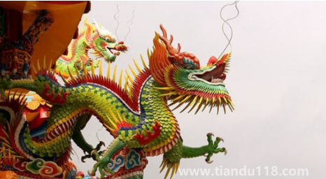 2023兔好還是2024龍好（2024年龍的運勢好不好）