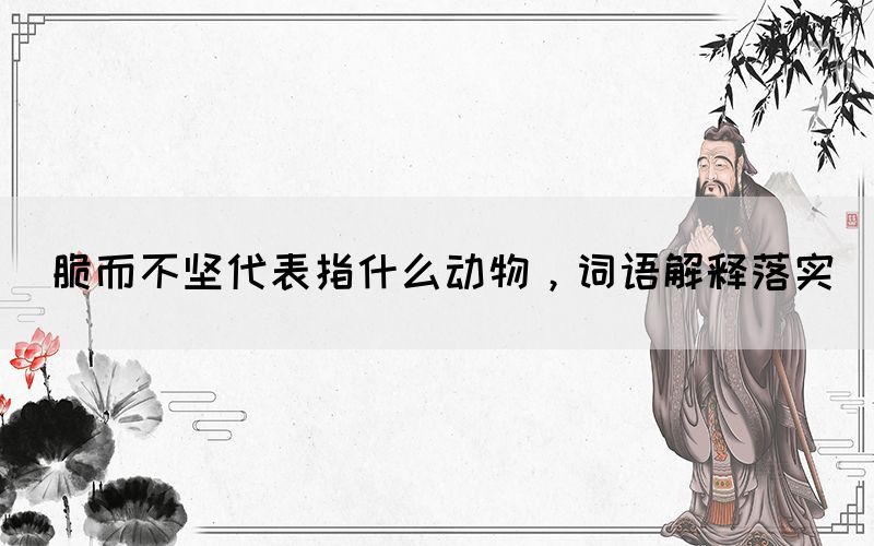 脆而不堅代表指什么動物，詞語解釋落實