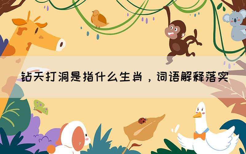 鉆天打洞是指什么生肖，詞語解釋落實(shí)