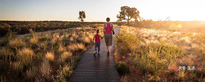 綠色出行的方式有哪些