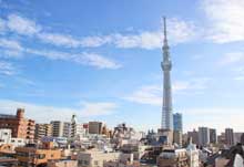 晴空塔和東京塔哪個高 東京塔和晴空塔哪個更值得去