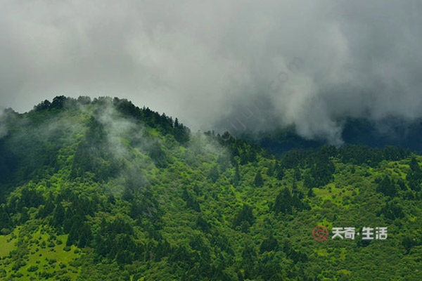 神農(nóng)架都有什么主要景點
