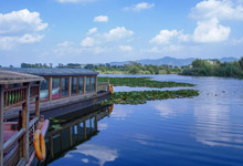 普者黑荷花是什么季節(jié)開的 普者黑荷花是哪個(gè)季節(jié)開的