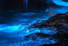 適合旅游發(fā)呆的地方 適合旅游發(fā)呆的地方有哪些