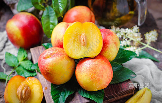 嘉興有哪些特色水果