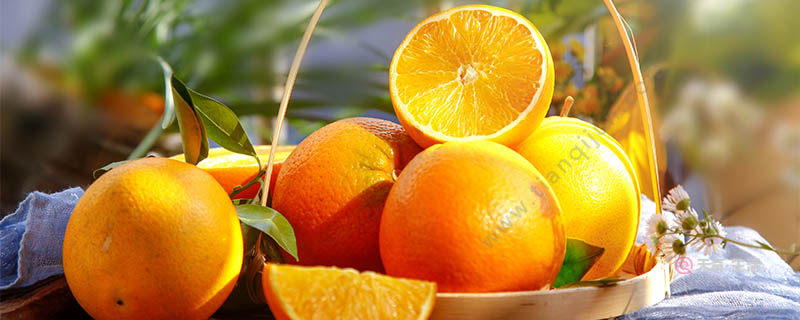 嘉興有哪些特色水果